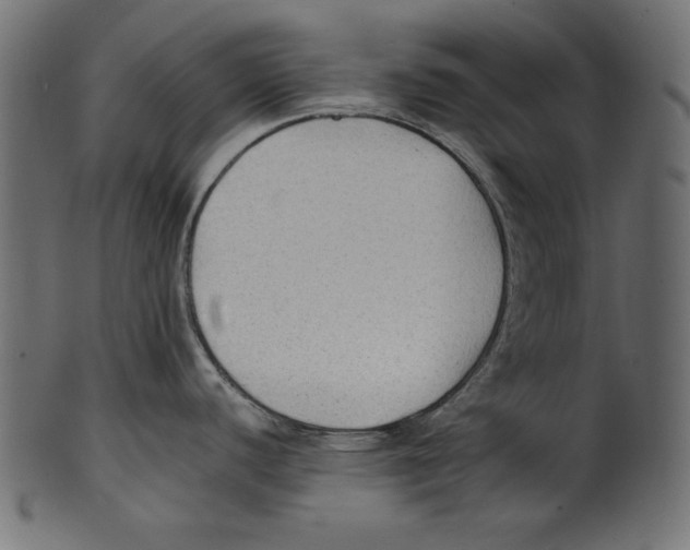 X0000100851440200807181046