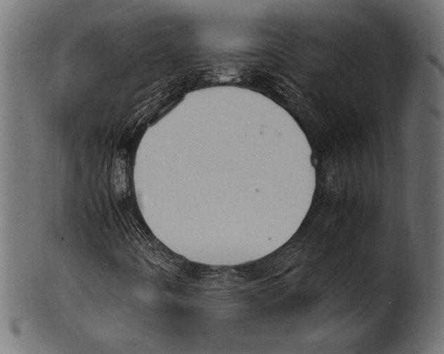 X0000100851442200807181045