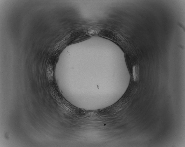 X0000100851443200807181045