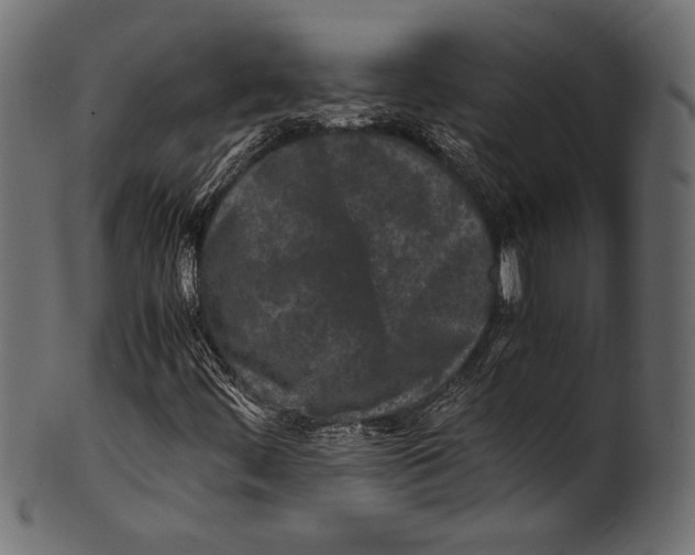 X0000100851444200807181045