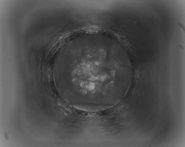 X0000100851445200807181045