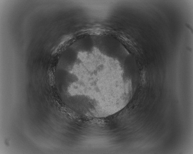 X0000100851446200807181045