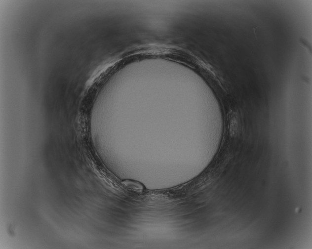 X0000100851448200807181045