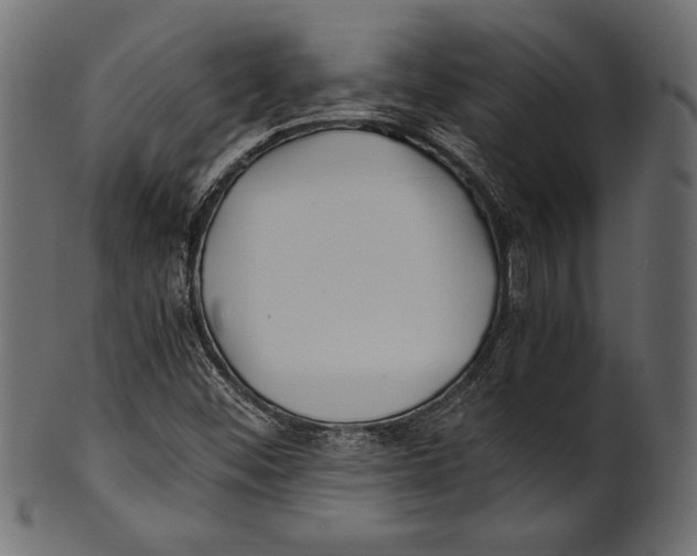 X0000100851452200807181045