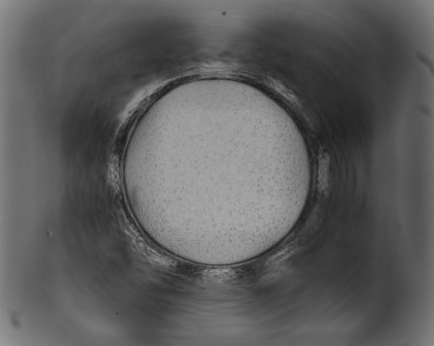 X0000100851454200807181045