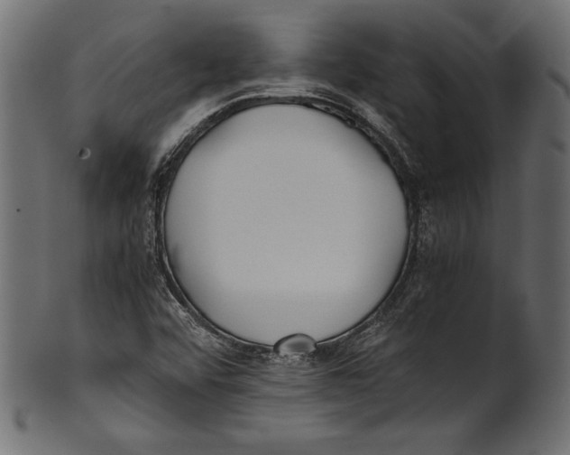 X0000100851456200807181045