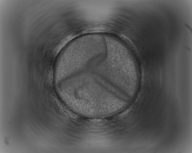 X0000100851457200807181045