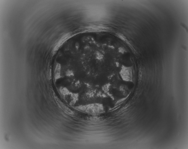 X0000100851459200807181045