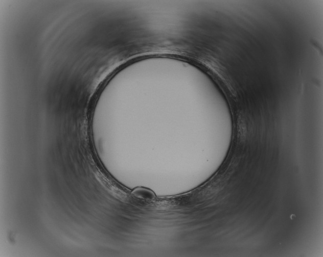 X0000100851460200807181045