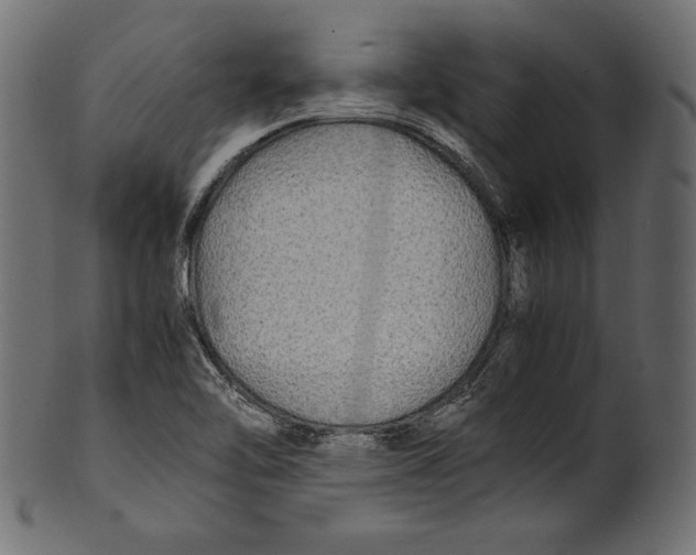 X0000100851462200807181045