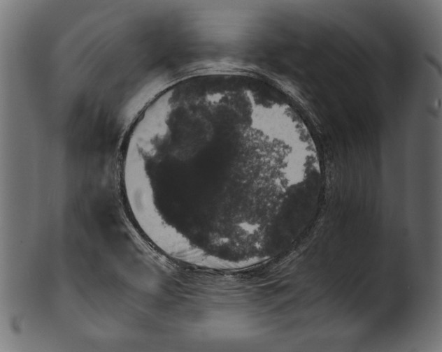 X0000100851463200807181045