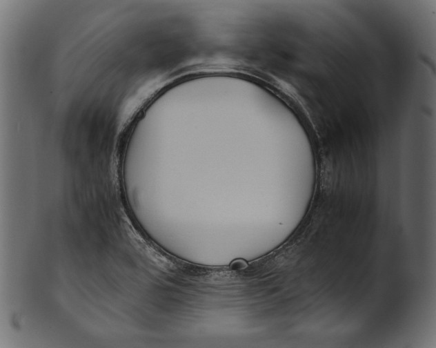 X0000100851464200807181045