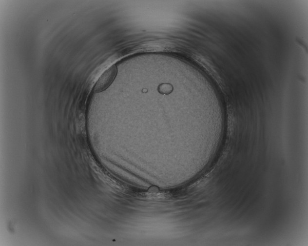 X0000100851465200807181045