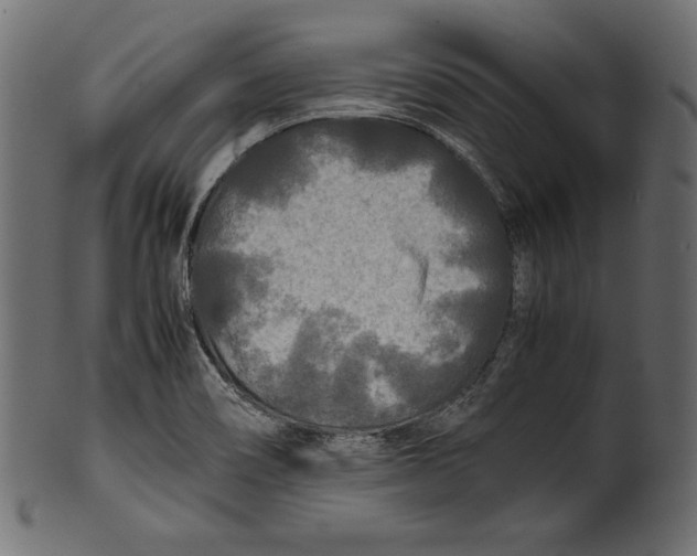 X0000100851466200807181045