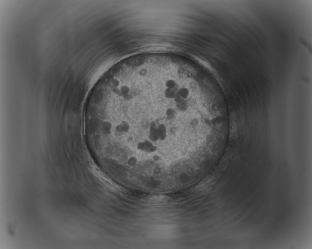 X0000100851467200807181045