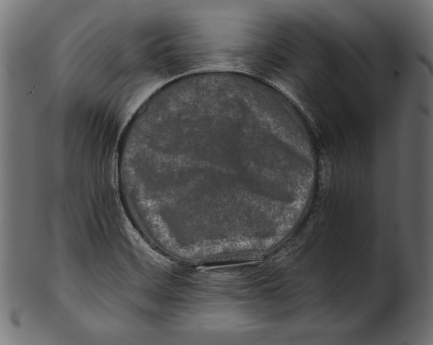 X0000100851468200807181045