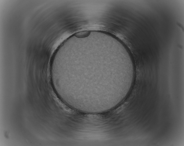 X0000100851469200807181045