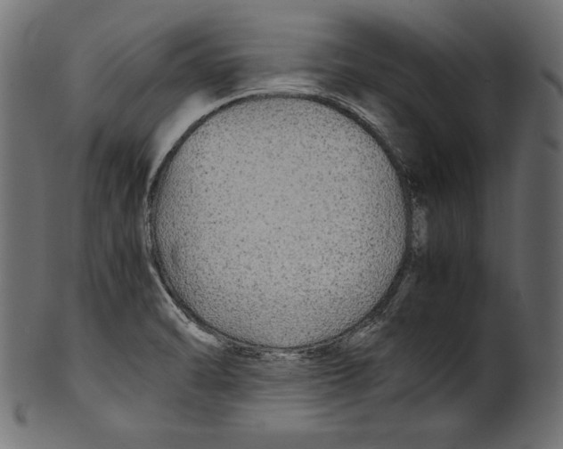 X0000100851470200807181045