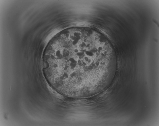 X0000100851471200807181045