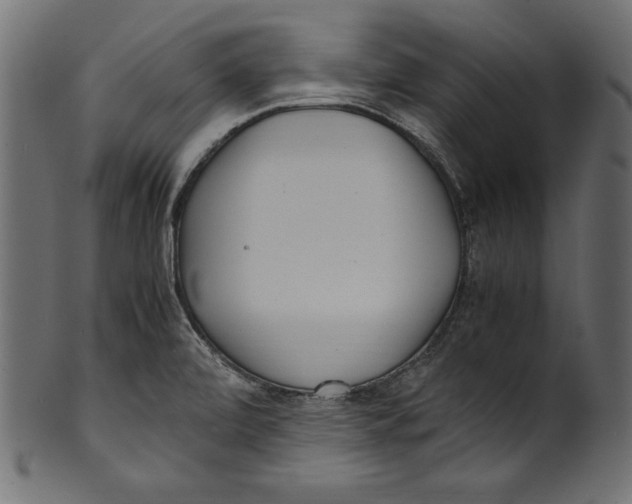 X0000100851472200807181045