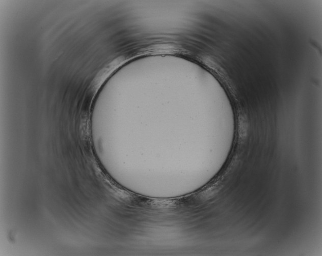 X0000100851473200807181045