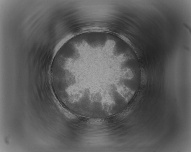 X0000100851474200807181045