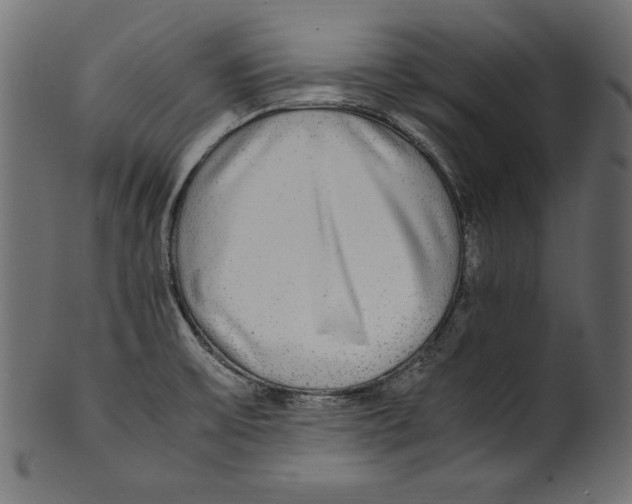 X0000100851475200807181045