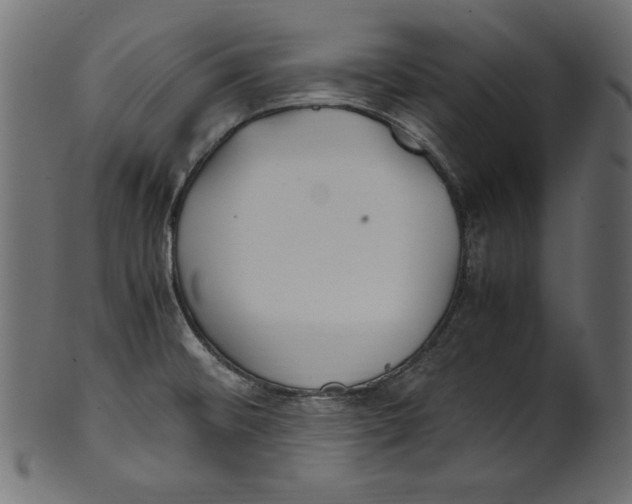 X0000100851476200807181045