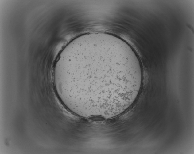 X0000100851477200807181045