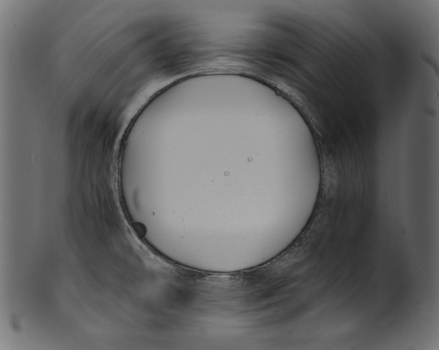 X0000100851478200807181045