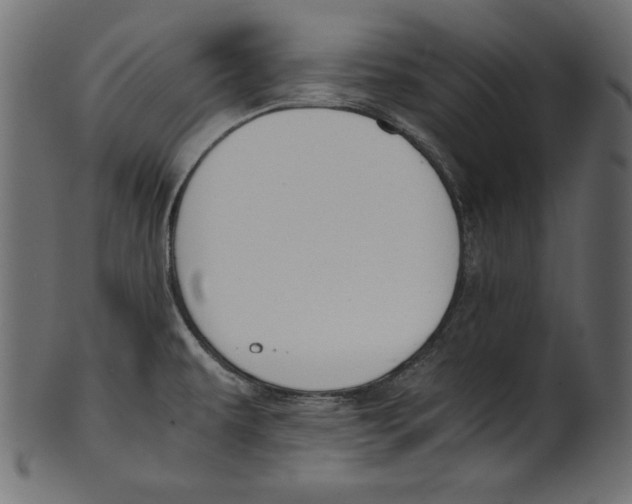 X0000100851479200807181045