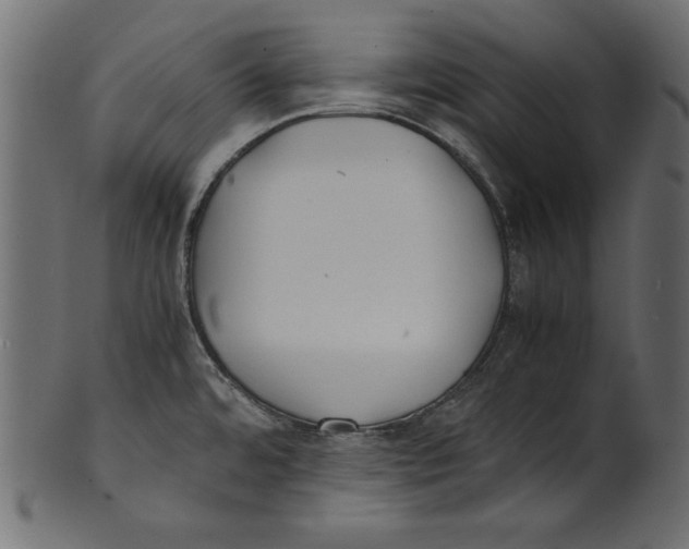 X0000100851480200807181045