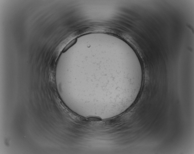 X0000100851481200807181045