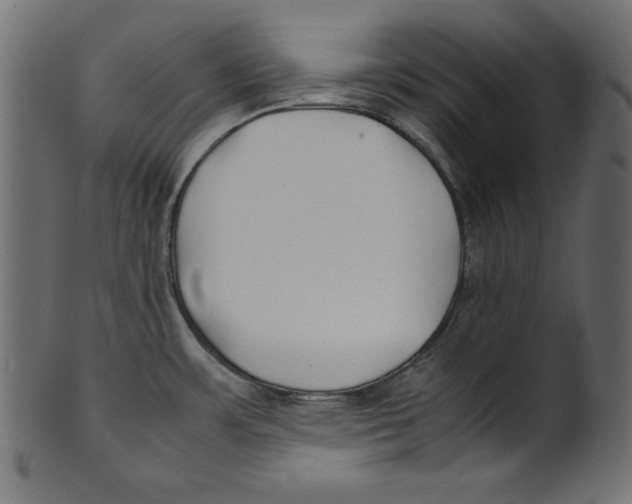 X0000100851483200807181045