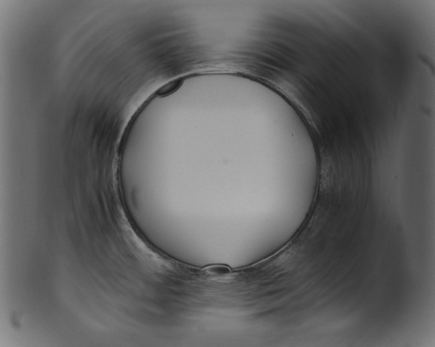 X0000100851484200807181045