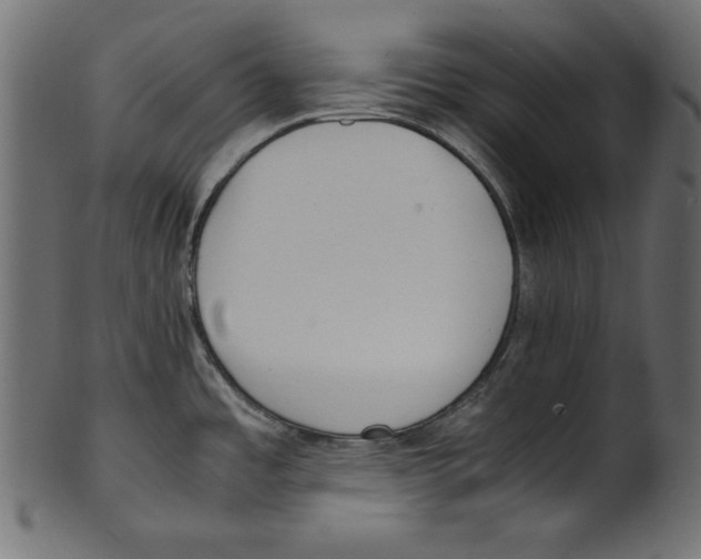 X0000100851485200807181045