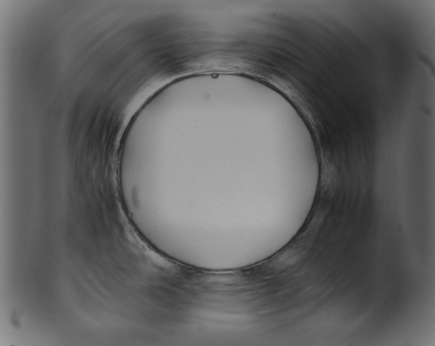 X0000100851486200807181045