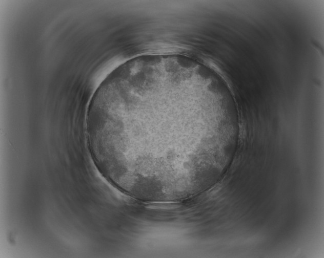 X0000100851487200807181045