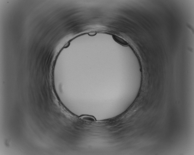 X0000100851488200807181045