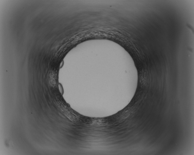 X0000100851490200807181044