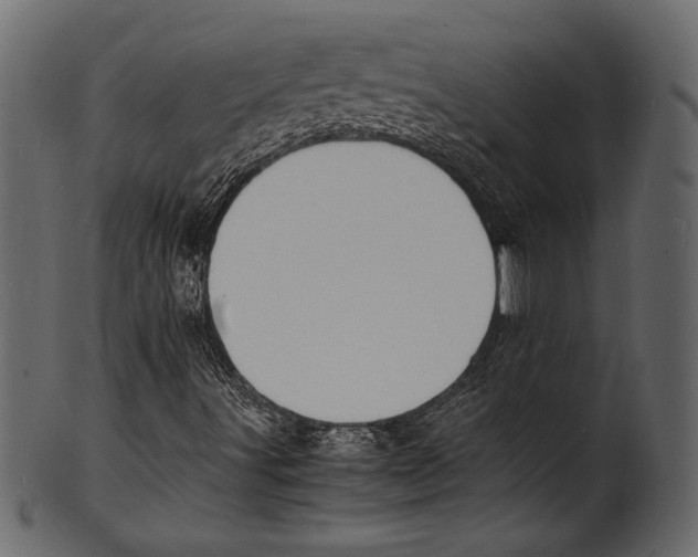 X0000100851491200807181044