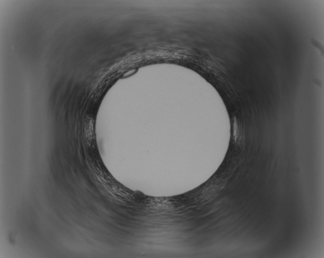 X0000100851492200807181044