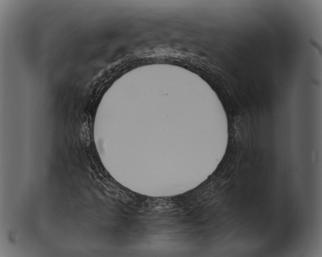 X0000100851493200807181044