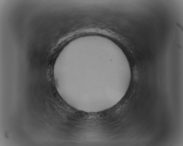 X0000100851494200807181044