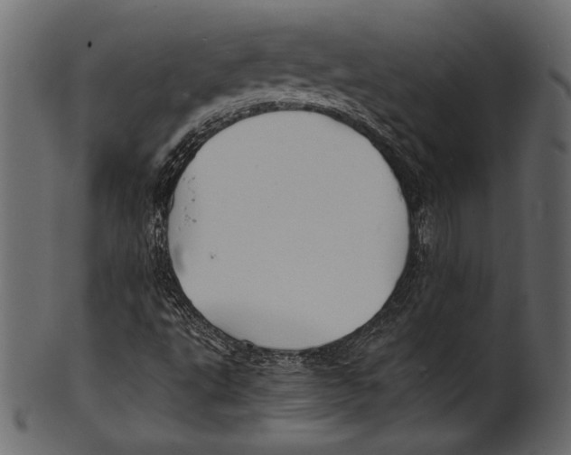 X0000100851495200807181044