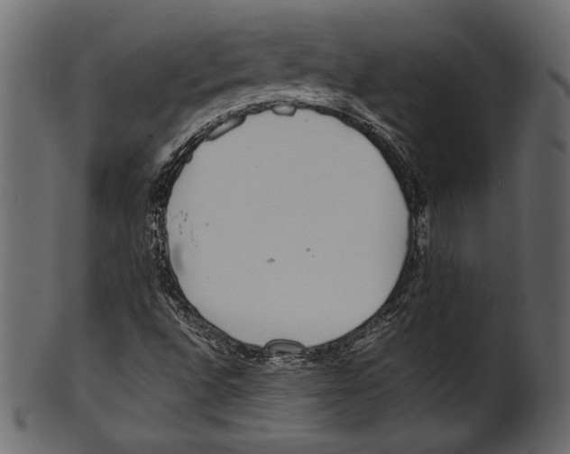 X0000100851496200807181044