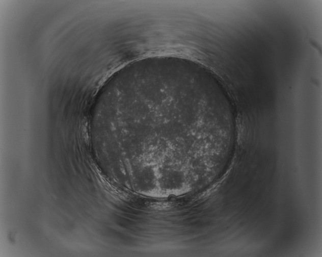 X0000100851497200807181044