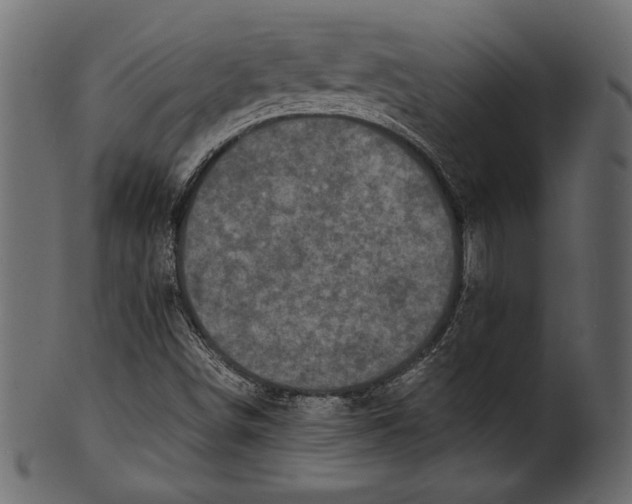 X0000100851498200807181044