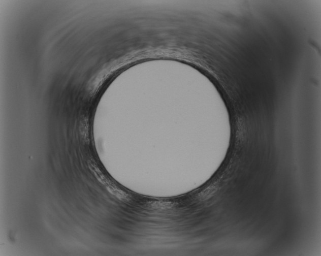 X0000100851499200807181044