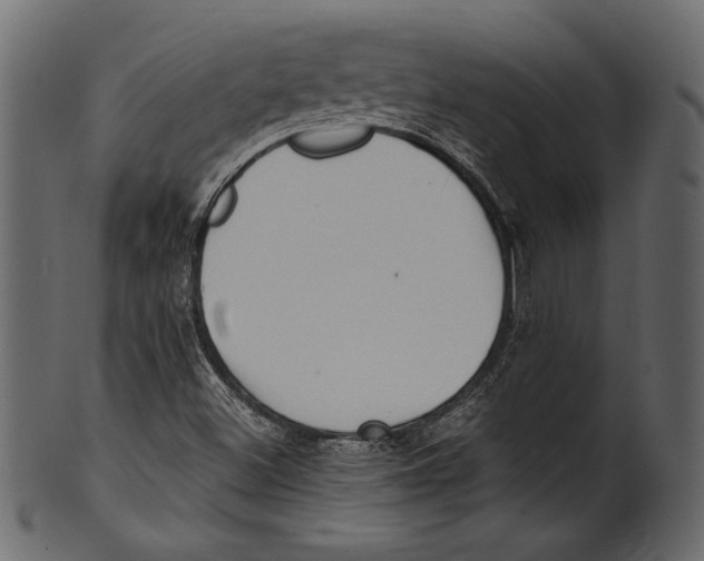 X0000100851500200807181044